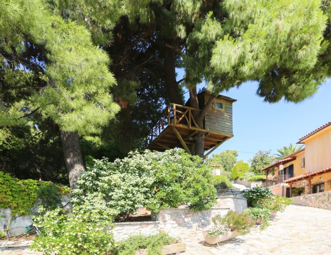villa-apartments-skiathos-gallery-13