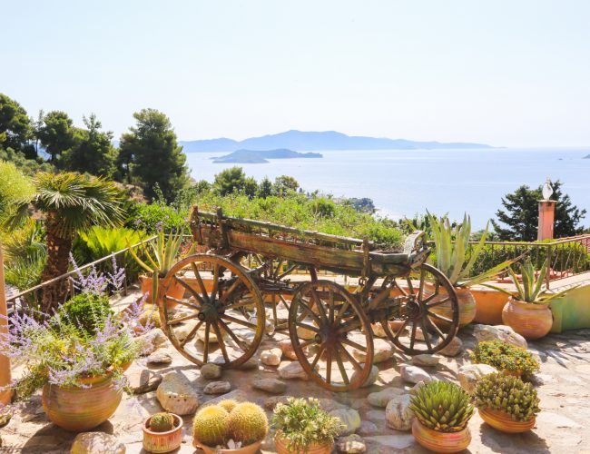 villa-apartments-skiathos-gallery-16